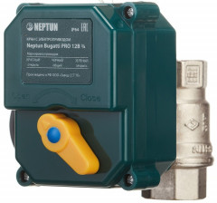 Кран с электроприводом Neptun Bugatti Pro 12В 1