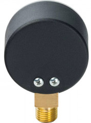 Манометр радиальный Watts F+R200 (MDR) 63/ 16x1/4&quot;