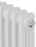 Стальной трубчатый радиатор 2-колончатый Royal Thermo Insignia C2180 - 04 секц. RAL9016, боковое 1/2