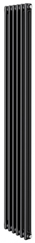 Стальной трубчатый радиатор 2-колончатый Royal Thermo Insignia C2180 - 06 секц. RAL9005m, боковое 1/2