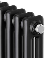 Стальной трубчатый радиатор 2-колончатый Royal Thermo Insignia C2180 - 08 секц. RAL9005m, боковое 1/2