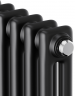 Стальной трубчатый радиатор 2-колончатый Royal Thermo Insignia C2180 - 10 секц. RAL9005m, боковое 1/2