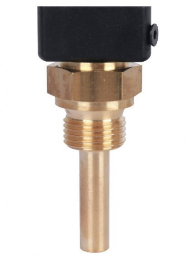 Термометр спиртовой прямой Watts Термометр спиртовой прямой (штуцер 100 мм)