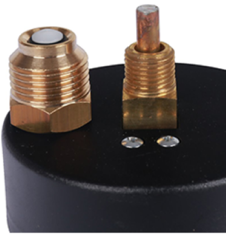 Термоманометр аксиальный Watts FR 818 (TMAX) 4 бар