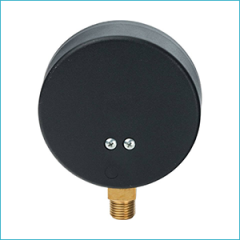 Термоманометр радиальный Watts FR 828(TMRA) 4x1/2&quot;