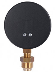 Термоманометр радиальный Watts FR 828(TMRA) 6 бар