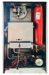 Настенный газовый котел Thermex EuroElite F40